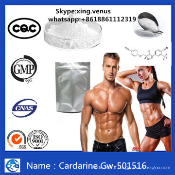 Matière première Sarms Hormone Bodybuilding Cardarine Gw-501516